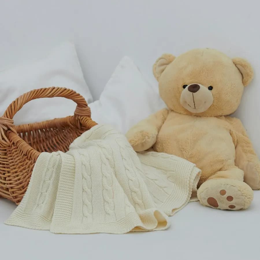 Osito de peluche junto a una canasta con cobija